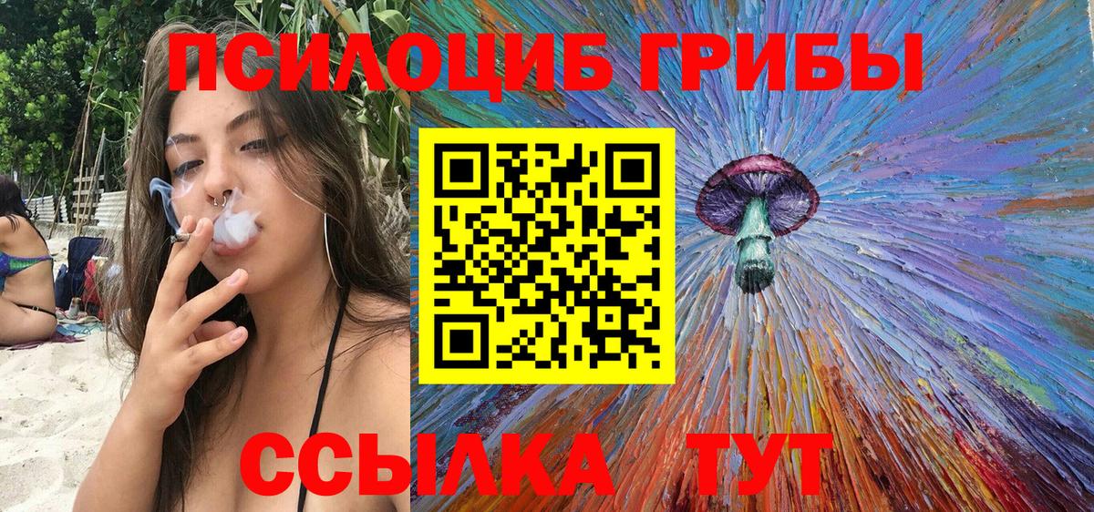 Шебекино  Галлюциногенные грибы мицелий  Вход с VPN 